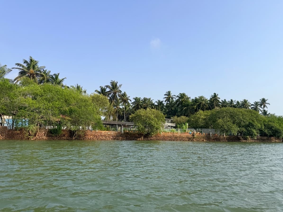 The Kumbla estuary from the water: green tidal water, a low line of mangroves and coconut palms along the far bank.