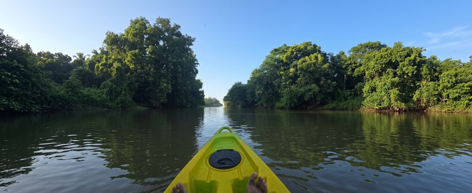 Looking forward from a kayak on the backwater at Arikady: the yellow bow and the paddler's feet in the foreground, still water opening ahead between wooded banks, with the trees mirrored on the surface under a clear morning sky.
